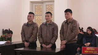 Nhóm đạo chích chuyên trộm xe máy lĩnh án