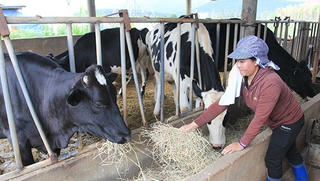 Đơn Dương, Lâm Đồng: Vốn chính sách “vạch đường” làm giàu 