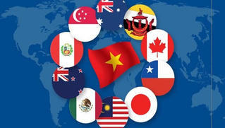 Hôm nay, CPTPP chính thức có hiệu lực với Việt Nam: Đừng nghĩ là “mỏ vàng lộ thiên”!