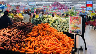 Big C giúp nông dân “giải cứu” cà rốt
