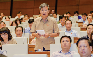 GS. Nguyễn Anh Trí: 'Quốc hội đổi mới để dân chủ hơn'