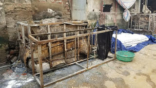 Kinh hoàng miến bẩn 