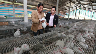 Đổi thay trên vùng chiến khu xưa