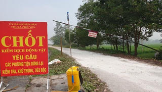Nhiều địa phương “căng” mình chống dịch tả lợn