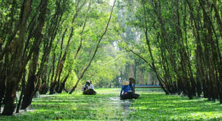 “Phượt” trên cung đường xanh