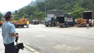​Quý I/2019: Hải quan thu ngân sách đạt 80.211 tỷ đồng
