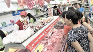 Dịch tả lợn châu Phi tạm lắng: Doanh nghiệp, hộ chăn nuôi tiếp tục tái đàn