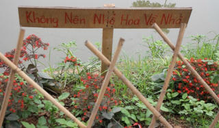 Những cung đường “thay da đổi thịt” tại Thụy Lôi