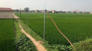 Lâm Thao (Phú Thọ): Nhiều hộ dân tự ý đấu nối đường điện gây mất an toàn