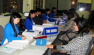 Tham gia BHXH tự nguyện, có được hưởng chế độ thai sản không?