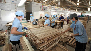 Xuất khẩu gỗ và lâm sản tăng