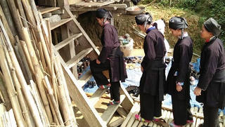 Tục cắm lá cây tươi bảo vệ trẻ sơ sinh của người Tày