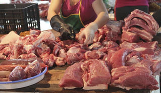 Giá lợn hơi giảm sâu khắp cả nước