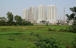 TP HCM muốn chuyển gần 400ha đất ruộng thành khu công nghiệp