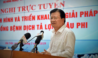 Phải có phương án cụ thể tiêu hủy lợn mắc dịch tả châu Phi