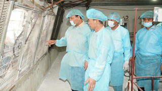 Thủ tướng kiểm tra công tác chống dịch tả lợn châu Phi tại Hà Nội: “Phòng chống dịch như chống giặc”