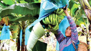 Mường Khương (Lào Cai): Núi rừng rộn ràng vươn lên đổi mới