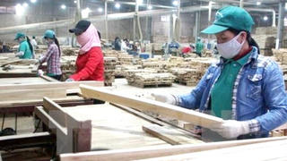 Xuất khẩu gỗ trước thách thức kim ngạch 20 tỷ USD