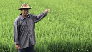 An Giang: Uẩn khúc trong vụ phân chia tài sản ly hôn?