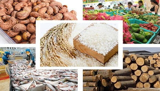 Xuất khẩu nông sản trước cơ hội và thách thức mới