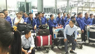 Vỡ mộng 'lương cao' khi tin lời hứa Công ty XKLĐ Vĩnh Cát