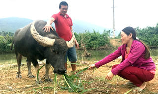 'Điểm sáng' Xuân Trạch