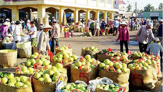 Nông sản dồn ứ không thể xuất khẩu sang Trung Quốc: Nguyên nhân từ đâu?