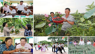 6 tháng, gần 1,16 triệu lượt hộ được vay vốn từ Ngân hàng Chính sách xã hội