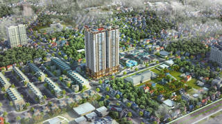 14/07 khai trương căn hộ mẫu chung cư PCC1 Thanh Xuân