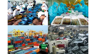 Tăng trưởng GDP chậm lại: Động lực phải từ cải cách!