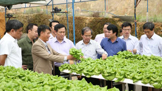 Hợp tác xã vẫn phát triển chưa tương xứng tiềm năng 