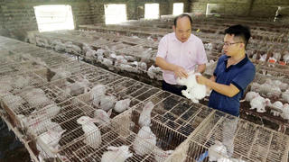 Quyết sách mang tính đột phá