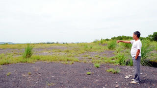 Chấm dứt dự án Bắc Cầu Bang giai đoạn 2: Hàng trăm nạn nhân mong lãnh đạo tỉnh Quảng Ninh cứu giúp