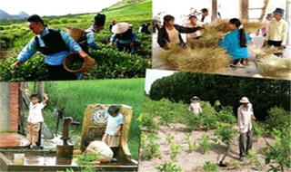 Tỷ lệ các xã thoát khỏi tình trạng đặc biệt khó khăn rất thấp