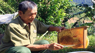 Vốn chính sách giúp Cựu chiến binh Lạng Sơn thoát nghèo