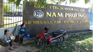 Nợ BHXH trong các doanh nghiệp phá sản, giải thể: Hơn 60.000 người lao động bị ảnh hưởng quyền lợi