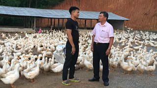 Tự tin làm giàu trên quê hương