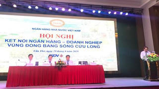 Tháo gỡ khó khăn về vốn cho Doanh nghiệp vùng ĐBSCL