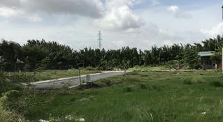 Tiên Phong Land lừa bán đất khống cho hàng chục khách hàng?