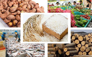 10 nhóm mặt hàng có kim ngạch xuất khẩu hàng năm  từ 1 tỷ USD trở lên