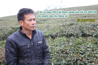 Bức xúc trên những đồi chè “Thanh Niên”