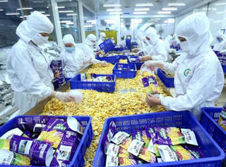 Cơ hội Việt Nam xuất khẩu hàng hóa vào Trung Đông