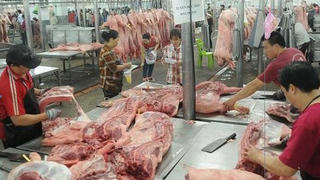 Giá lợn hơi tăng cao, thịt lợn nhập khẩu ồ ạt tràn về