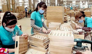 Giá trị xuất khẩu lâm sản tăng 18,8% so với cùng kỳ 2018