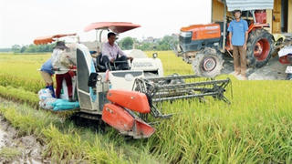 Kinh tế hợp tác, hợp tác xã: Nhiều chính sách hỗ trợ chưa đi vào cuộc sống
