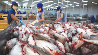 Mỹ công nhận hệ thống an toàn thực phẩm cá da trơn của Việt Nam
