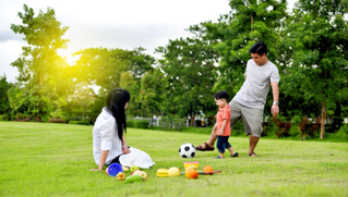 Ngôi nhà vườn giữa biển và rừng mẹ nào cũng muốn đưa con đến