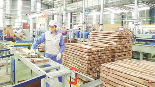 FDI ngành gỗ tăng “nóng”: Lo ngại đầu tư “chui”, đầu tư “núp bóng”…
