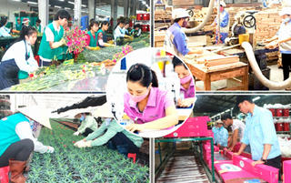 20 năm nhìn lại Luật Doanh nghiệp: Sửa luật trên tư duy kinh tế thị trường