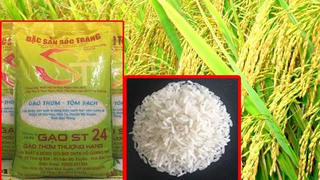 Gạo Việt Nam ngon nhất thế giới: Có tạo cú hích cho xuất khẩu?